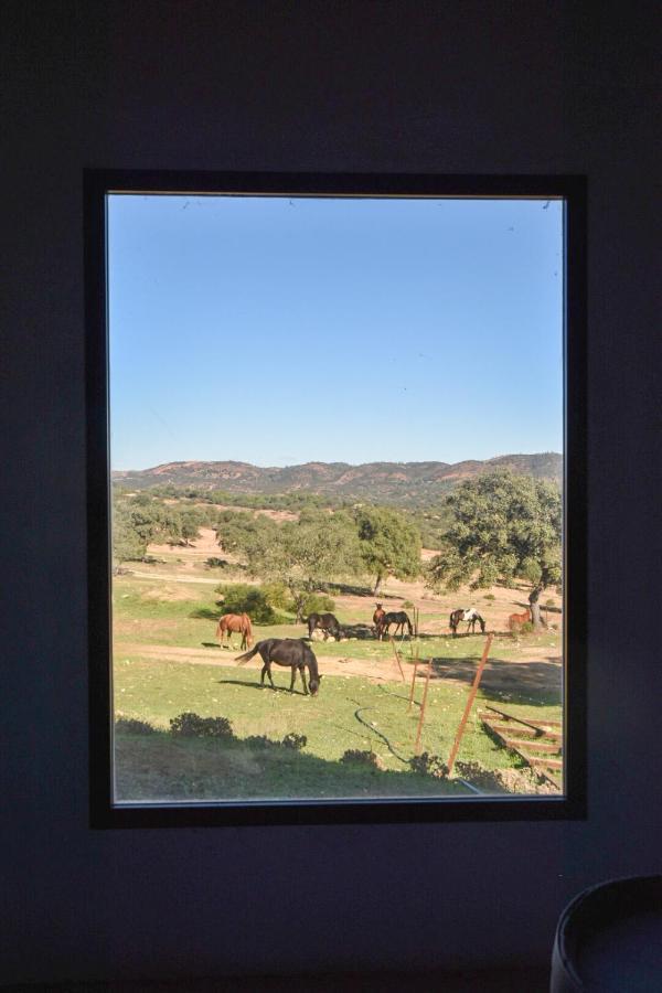 Finca Santa Maria De Las Canadas El Garrobo Dış mekan fotoğraf