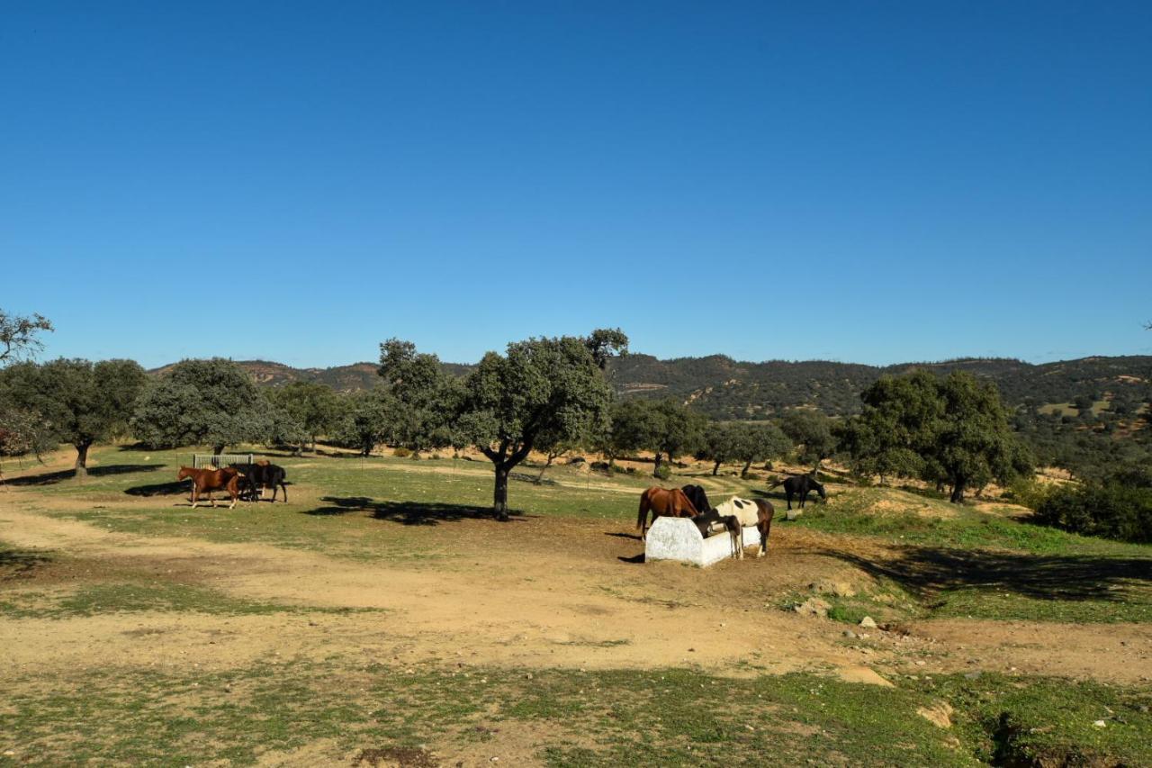 Finca Santa Maria De Las Canadas El Garrobo Dış mekan fotoğraf